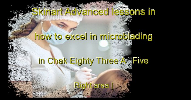 Skinart Advanced lessons in how to excel in microblading in Chak Eighty Three A   Five Right area | MicrobladingTraining | MicrobladingClasses | SkinartTraining-Pakistan